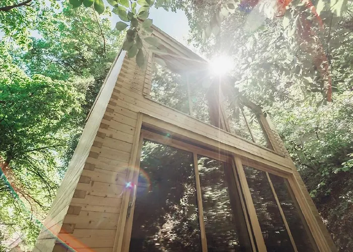 Treebox Noszvaj